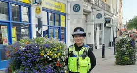 Galerie foto - poza 4