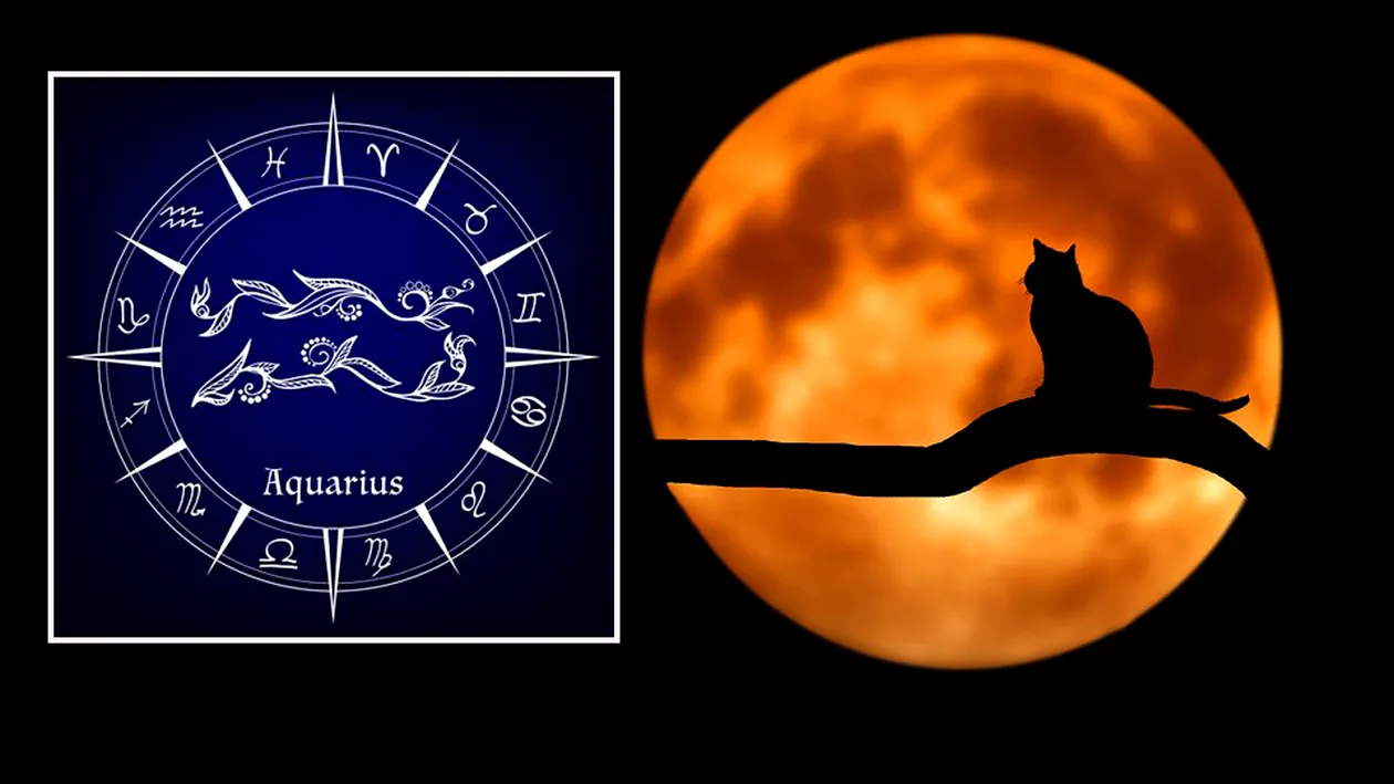 Horoscop săptămânal 26 noiembrie – 2 decembrie 2018. Vărsătorii pot încheia o relație