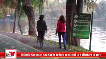 Mihaela Geoana si Cristiana Copos, discutii in aer liber! S-au plimbat cu un cocker in parc