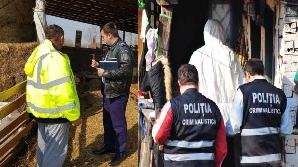Conflict la o stână din Dâmbovița. Ciobanii s-au bătut cu bâte și topoare, iar unul dintre ei a fost ucis
