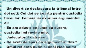 Bancul de weekend | Doi soți se ceartă pentru custodia fiicei lor