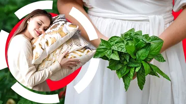 Când trebuie să pui busuioc sub pernă, de Bobotează. Ce e musai să facă fetele nemăritate