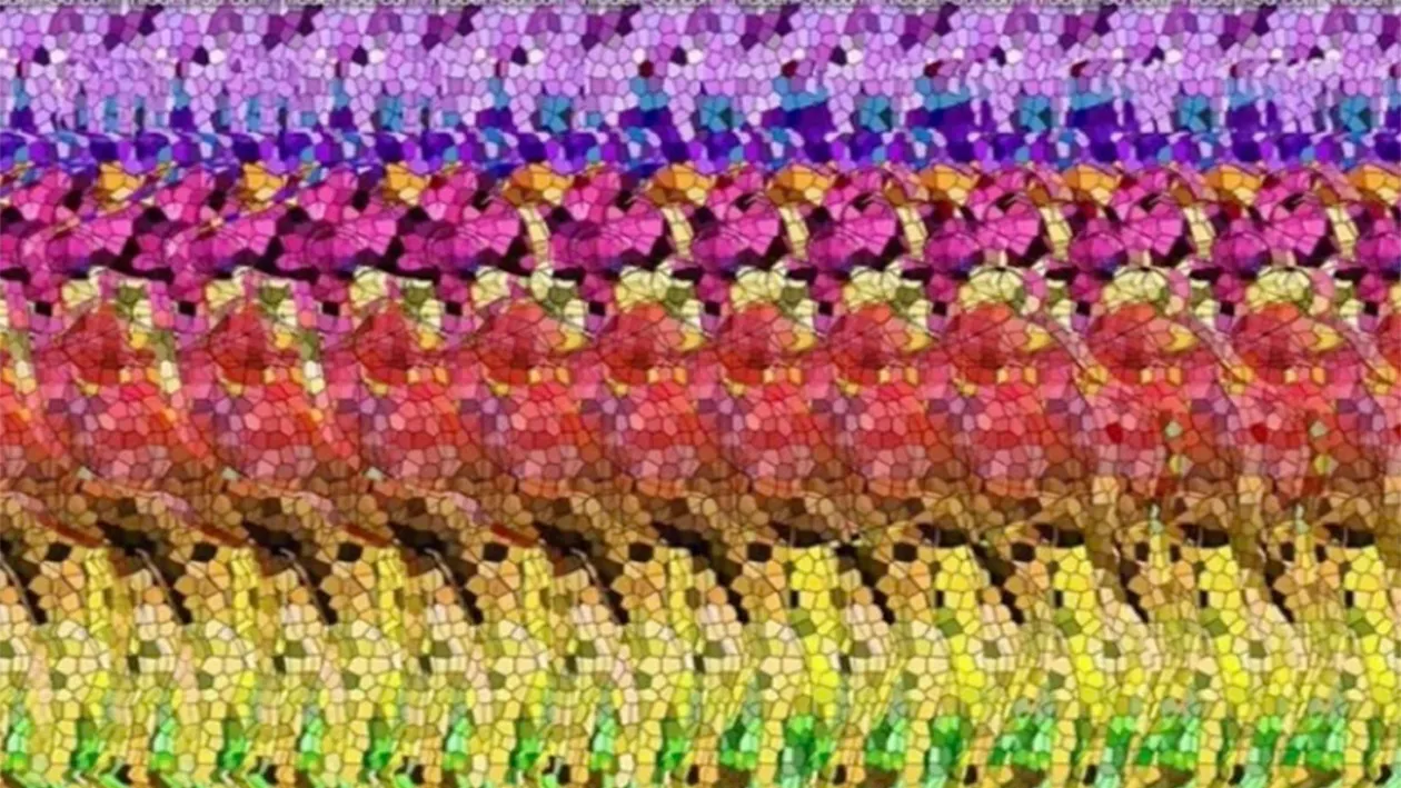 TEST IQ | Doar geniile 3D pot descifra misterul: Ce animal se ascunde în fotografia asta?