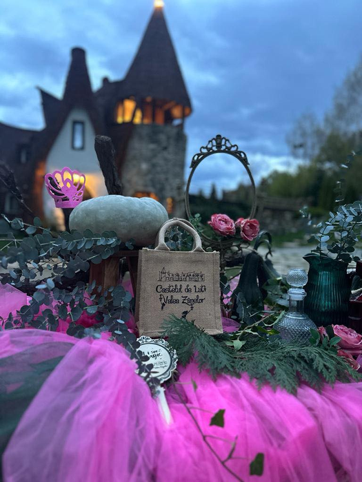 Castelul de Lut Valea Zânelor / Foto: Facebook Castelul de Lut
