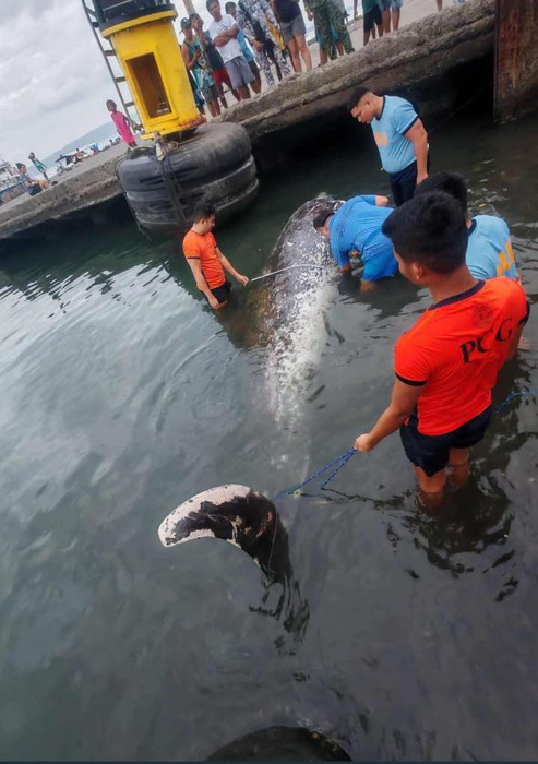 sursă foto: Facebook:Coast Guard District Southeastern Mindanao
