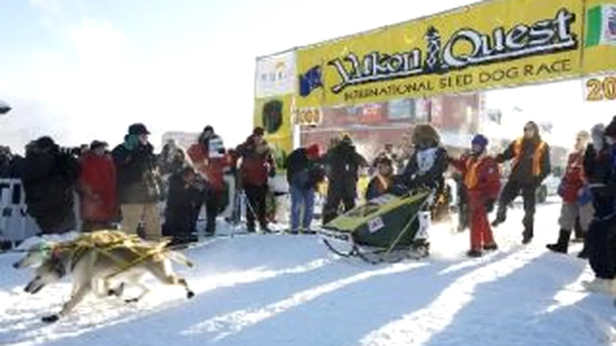 Un jamaican a luat startul in cea mai dificila cursa de sanii trase de caini, in Alaska