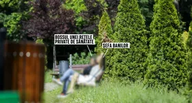 Galerie foto - poza 4