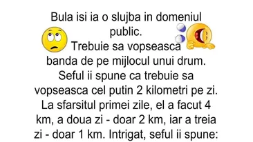 BANC | Bulă își ia o slujbă în domeniul public. Trebuie să vopsească banda de pe mijlocul unui drum