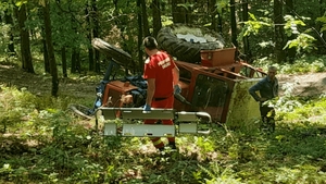 Un bărbat a murit în timp ce tăia un copac în pădure. Cum s-a întâmplat nenorocirea