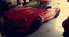 Galerie foto - poza 2