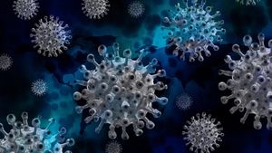Focar în Marea Britanie. Peste jumătate dintre muncitorii români ai unei ferme, infectați cu noul coronavirus
