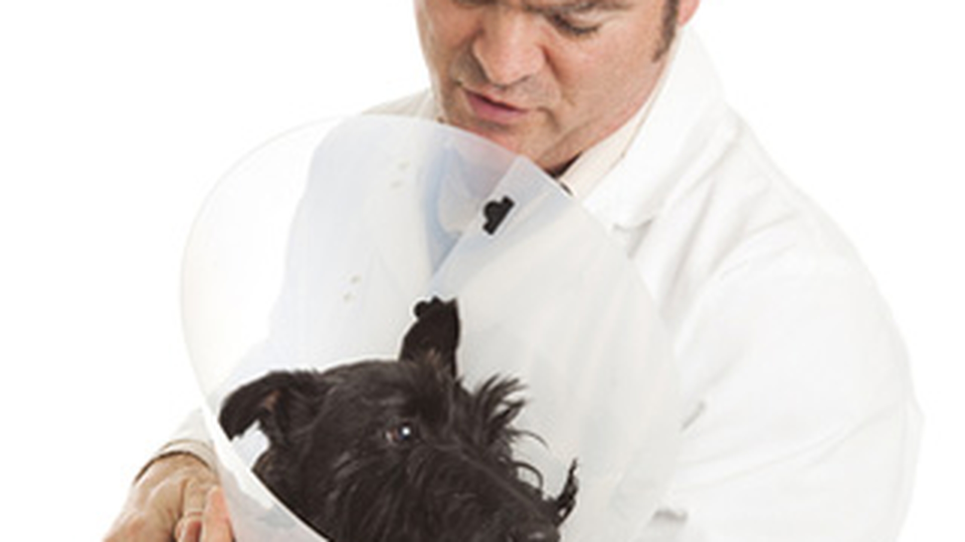 Veterinarii sunt predispusi la sinucidere!
