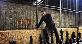 Galerie foto - poza 2