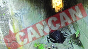Cadavru transat descoperit sub doua poduri de langa Lugoj