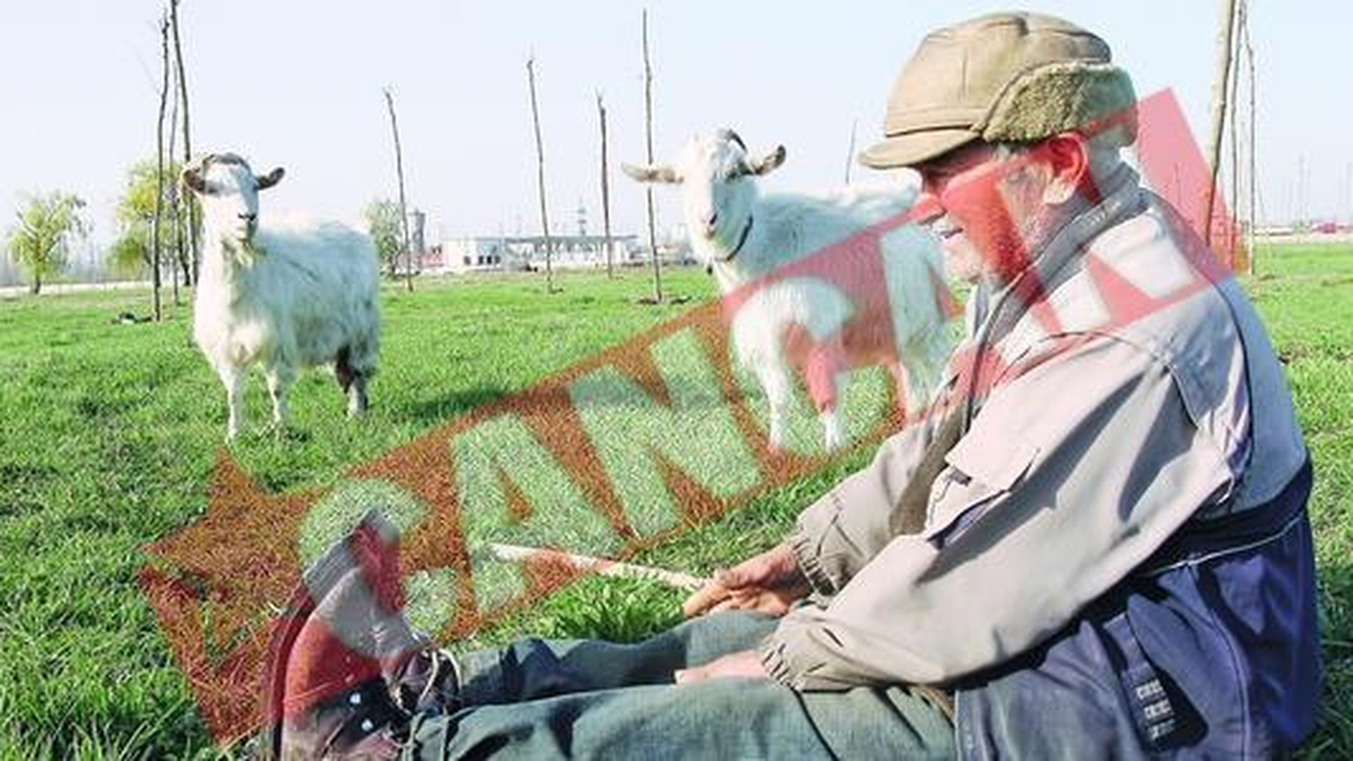 Un pastor de capre, stapan pe insula Lacul Morii