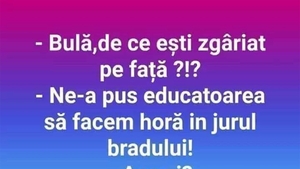 BANC | "Bulă, de ce ești zgâriat pe față?"