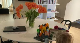 Galerie foto - poza 3