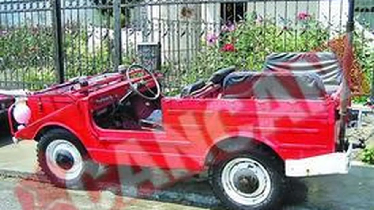 Premierul a vrut sa cumpere o masina gasita intr-un cotet