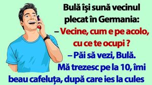 BANC | Bulă își sună vecinul plecat în Germania