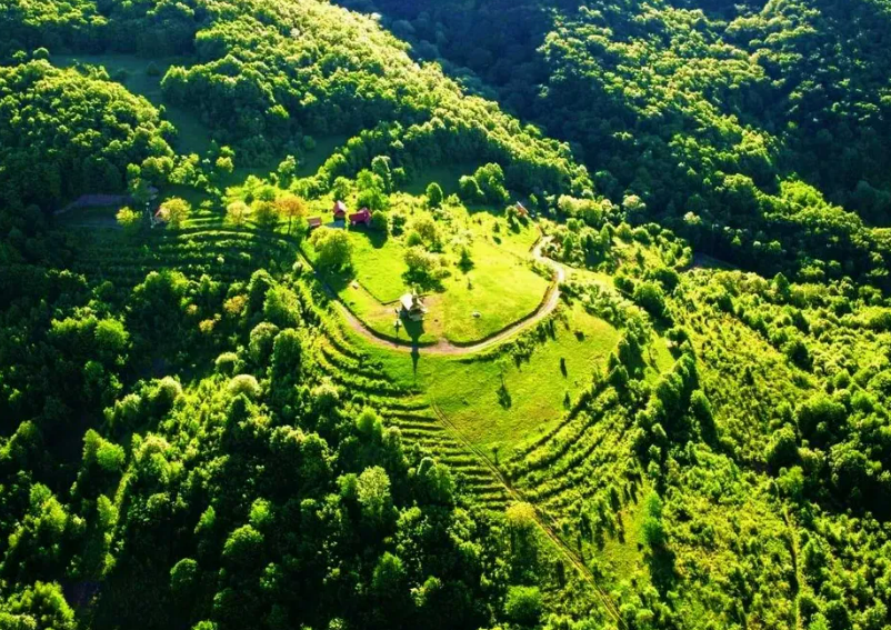 Cât costă casa părintească a lui Arsenie Boca? Are 8,5 hectare şi tocmai a fost scoasă la vânzare
