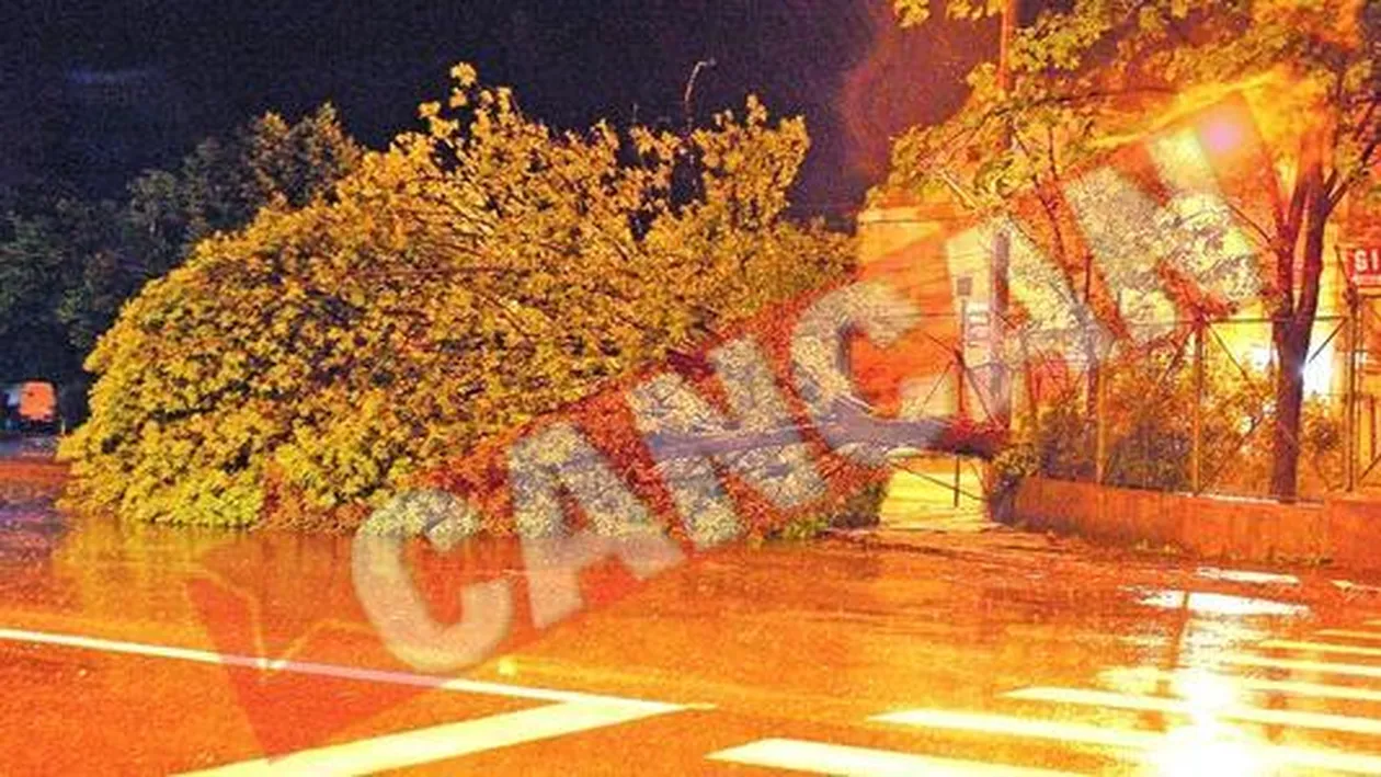 Furtuna a facut ravagii in Bucuresti