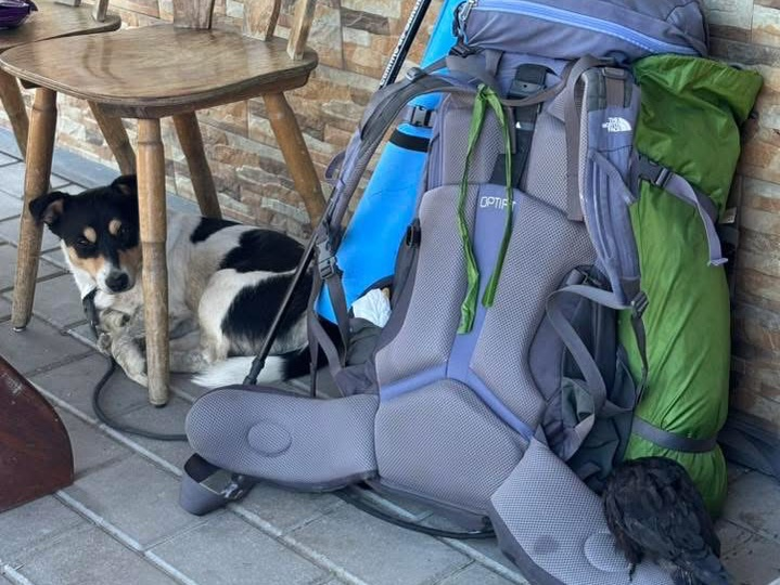 Ce animale de companie are Eduard Hordila de la Asia Express 2026. Sursa foto: Instagram