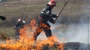 Incendiu de vegetație uscată, întins pe trei hectare, în Prahova
