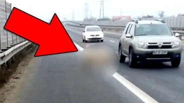 Aparitie ULUITOARE pe autostrada Bucuresti-Pitesti! Toti soferii si-au facut cruce cand au vazut ASTA in mijlocul strazii