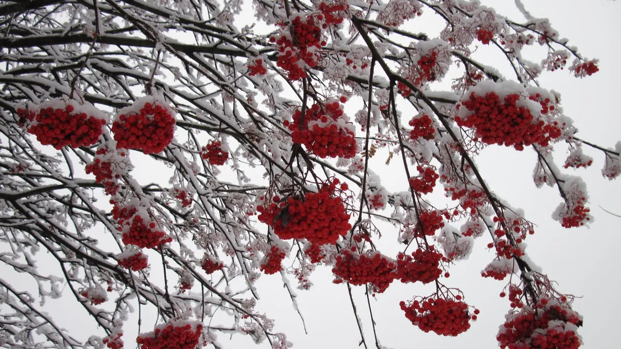 Bucuraţi-vă de soarele de azi! Schimbare radicală a vremii în următoarele două săptămâni! Vezi când ninge!