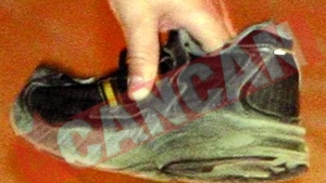 Premierul chinez, atacat cu un adidas