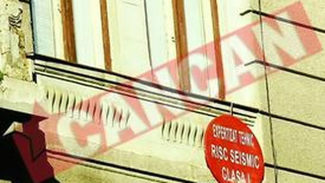 Bacteria care se transforma in beton