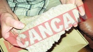 Are acasa un dinte de mamut