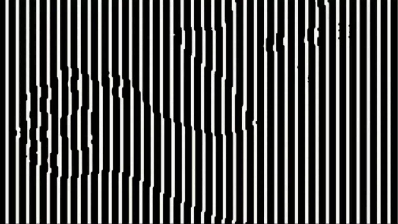 Iluzie optică virală | Numiți animalul care se ascunde în această fotografie