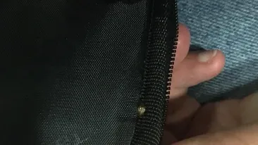 O studentă din Iași s-a trezit cu bagajele infestate de ploșnițe, într-un tren al CFR!