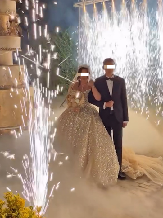Nunta virală din Timișoara a dus extravaganța la alt nivel! Bolizi de milioane, tort cu zece etaje și cârnați atârnați în copaci