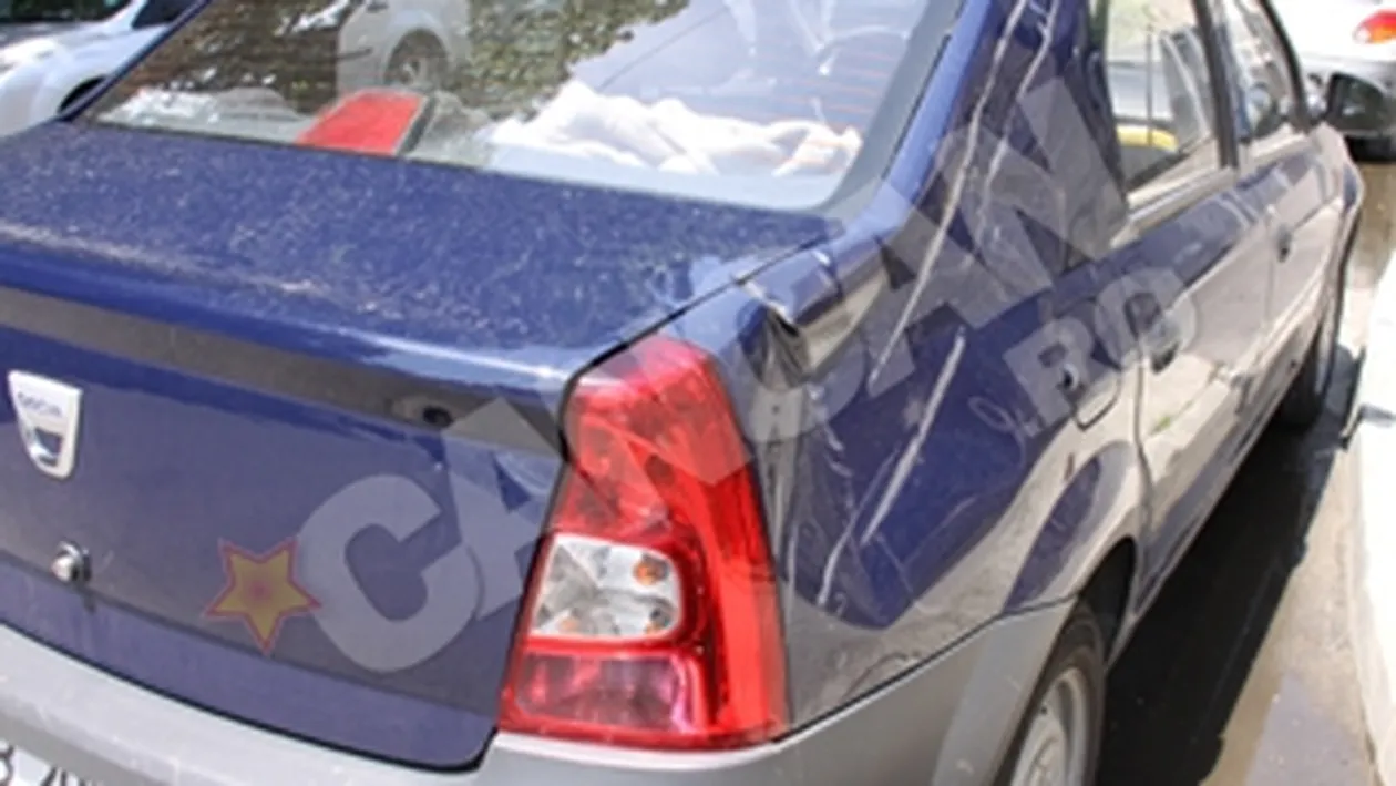 Un arbore din Gradina Botanica s-a prabusit peste o masina