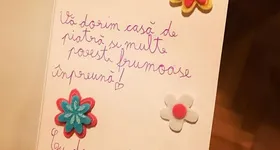 Galerie foto - poza 3