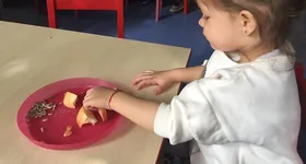 Galerie foto - poza 3