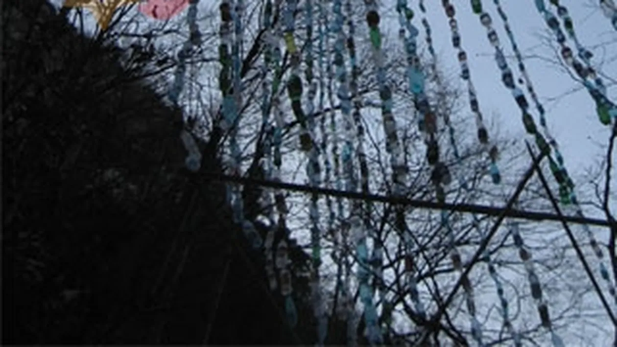 Brad de 93 de metri, facut din PET-uri