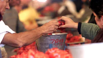 Criza E.coli care a speriat România: isteria castraveților de acum 15 ani, când nimeni nu mai îndrăznea să mănânce legume crude