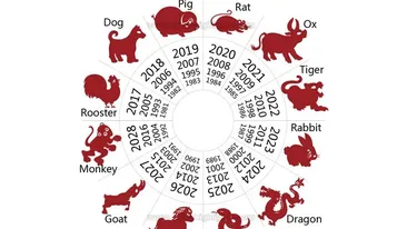 Horoscop chinezesc 12 decembrie 2025. Dragonul scoate la suprafață adevăruri