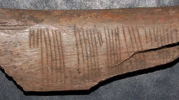 A DECODAT un mesaj al vikingilor vechi de 900 de ani si nu i-a venit sa creada ce a descoperit! Ce scria pe aceasta tableta