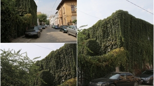 Povestea terifiantă din centrul Bucureștiului. Casa diavolului, locul în care trei suflete ar fi captive