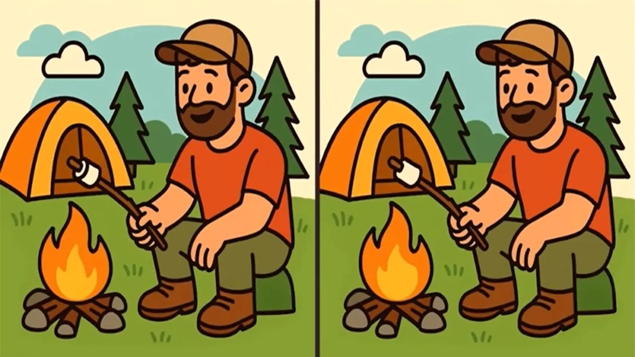 Test de logică | Aceste două imagini par identice, dar nu sunt. Găsiți cele 3 diferențe în maximum 51 de secunde