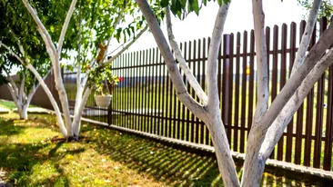 Ce pățesc proprietarii de case care încalcă linia de hotar. Ce distanță trebuie respectată