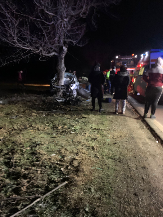 Accident cumplit pe DN41! Un tânăr de doar 27 de ani și-a pierdut viața, după ce a intrat cu mașina în copac