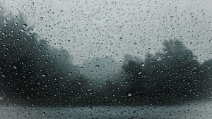 Prognoza meteo pentru Bucureşti. ANM: Intensificări ale vântului şi ploi temporare