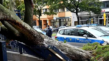 7 morţi în Germania, după o furtună cu rafale de 115 km/h! Mii de oameni au rămas în gări
