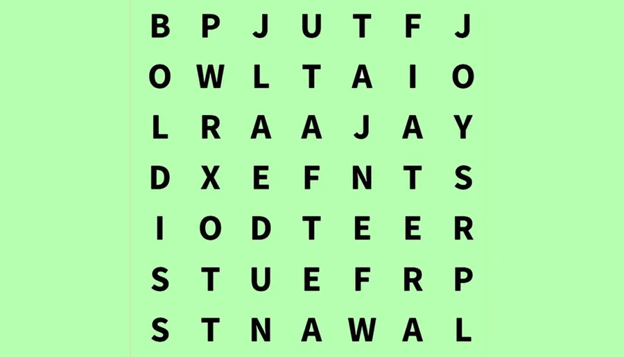 Test de inteligență | Găsiți cuvântul "taxi" în maximum 5 secunde! Sursă foto: jagranjosh.com