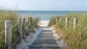 Iluzie optică virală | Găsiți crabul ascuns în această fotografie! Recordul este de 7 secunde